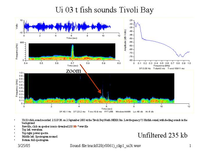 75 Hz call